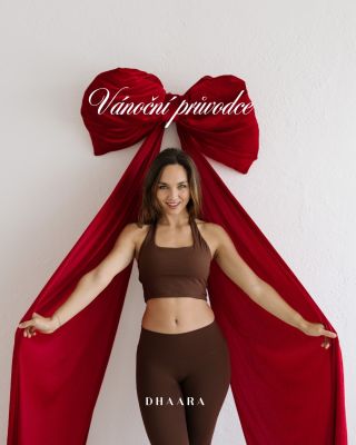 Vánoční průvodce aneb pokud hledáš ten pravý dárek pro ni 🎁 Měkký dárek z Dhaary potěší, zahřeje a přinese novou dávku...